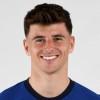 Mason Mount trøye